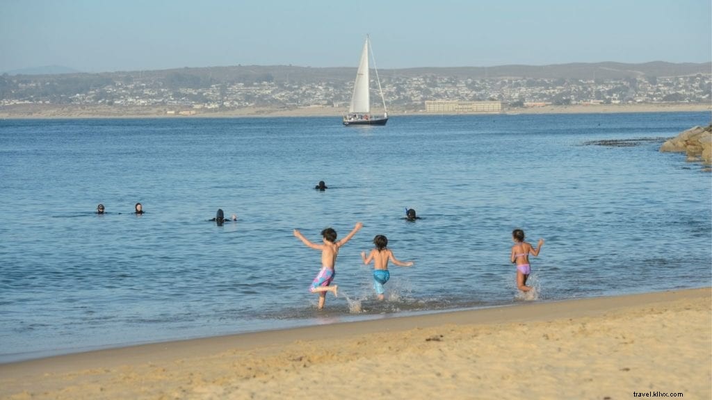 La guida definitiva alle spiagge di Monterey 