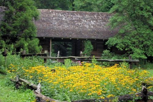 Melhores jardins para visitar em Asheville 