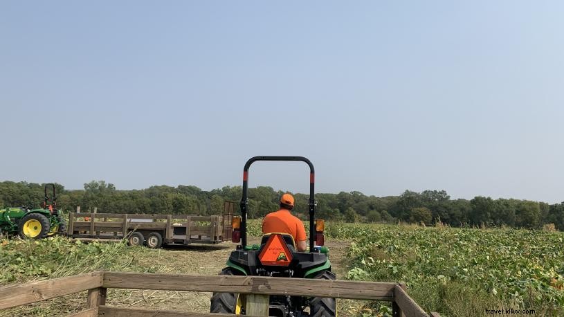 Un après-midi d automne à Roca Berry Farm 