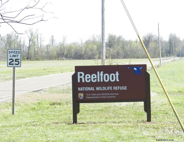 Area faunistica pubblica del lago Reelfoot 