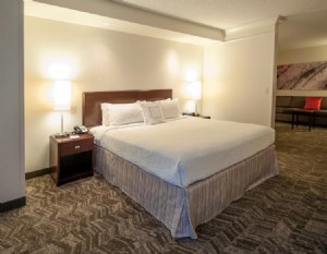 SpringHill Suites by Marriott Bandara Louisville 