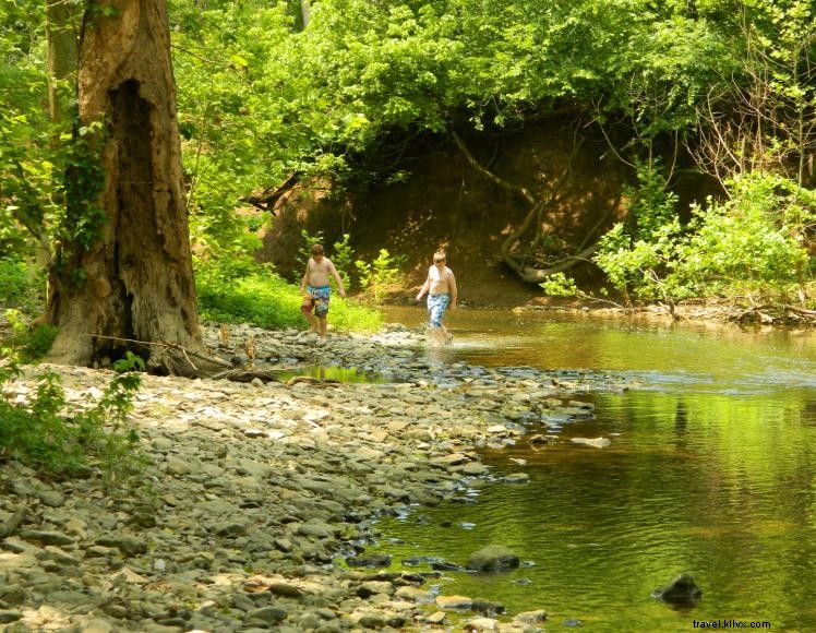 Parque de campismo Still Waters e trilhas de canoa 