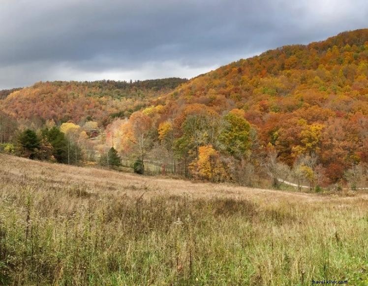 Alojamiento y desayuno en Snug Hollow Farm 