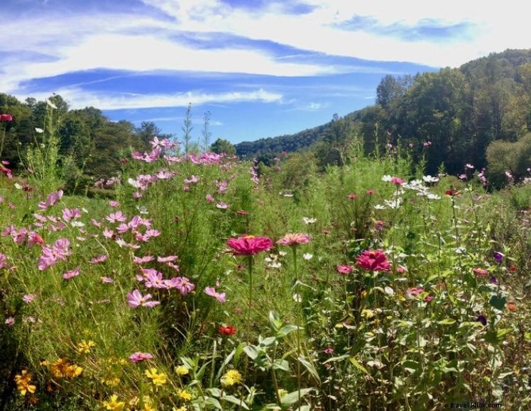 Bed &Breakfast della fattoria di Snug Hollow 