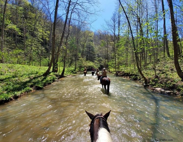 Fornecedores de terceirização do Triple R Ranch 