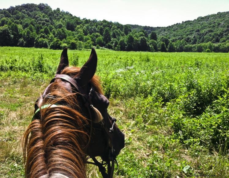 Fornecedores de terceirização do Triple R Ranch 