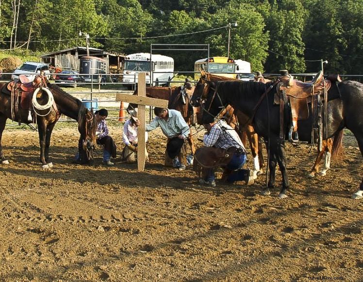 Fornecedores de terceirização do Triple R Ranch 