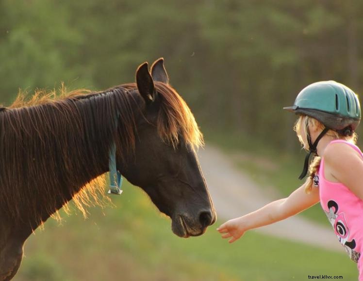 Proveedores de Triple R Ranch 