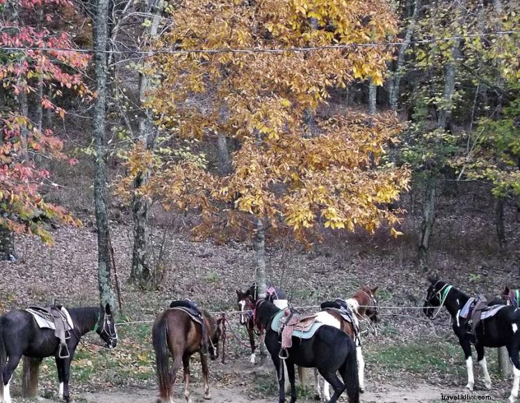 Fornecedores de terceirização do Triple R Ranch 