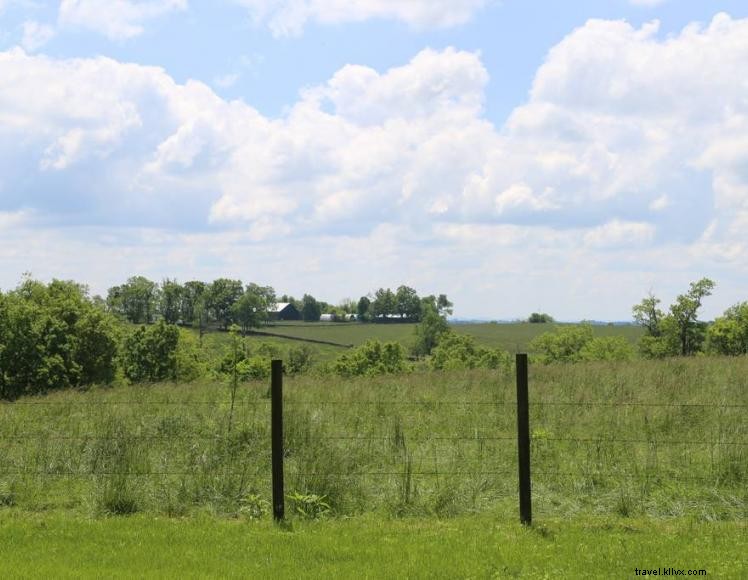 The Peach House :escapade dans les vignobles du Kentucky 