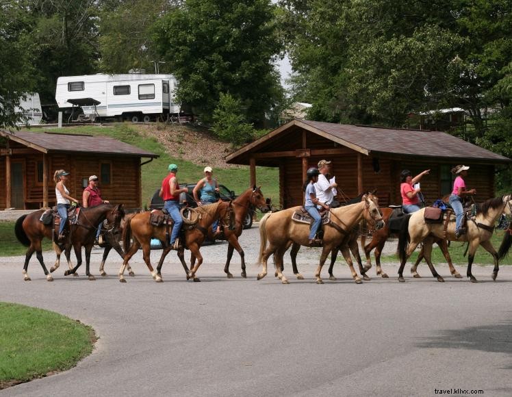 Perkemahan Berkuda Wranglers 