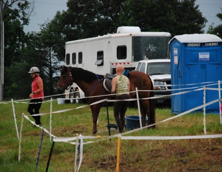 Campamento de caballos de azufre blanco 