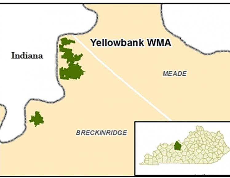 Area di gestione della fauna selvatica di Yellowbank 