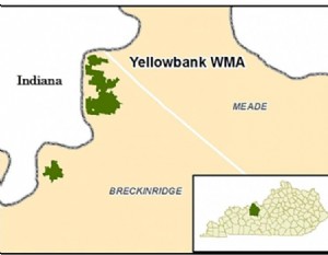 Área de manejo da vida selvagem de Yellowbank 