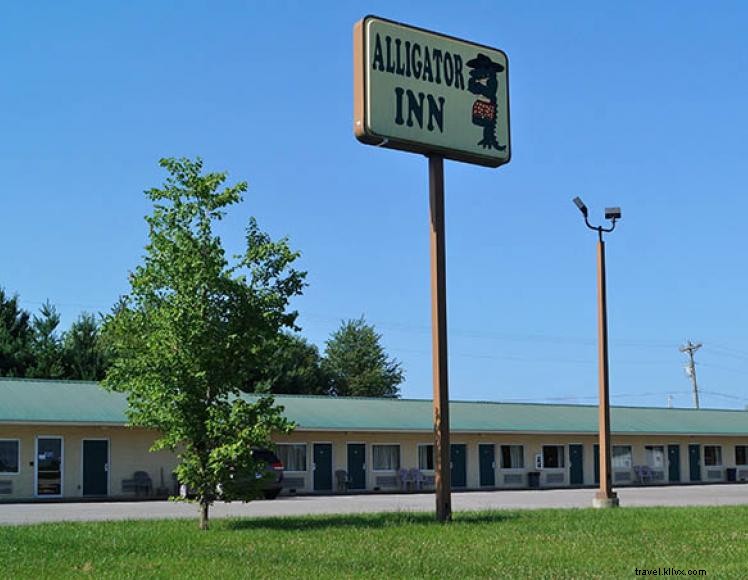 Auberge des alligators 