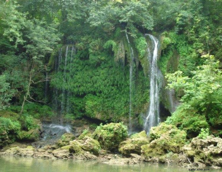 Penyewaan Kano &Kayak Penyeberangan Kerbau Besar 