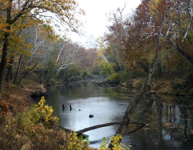 Campamento Blue Heron 