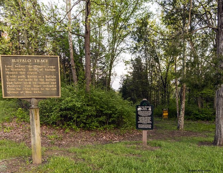 Taman Resor Negara Bagian Battlefield Blue Licks 