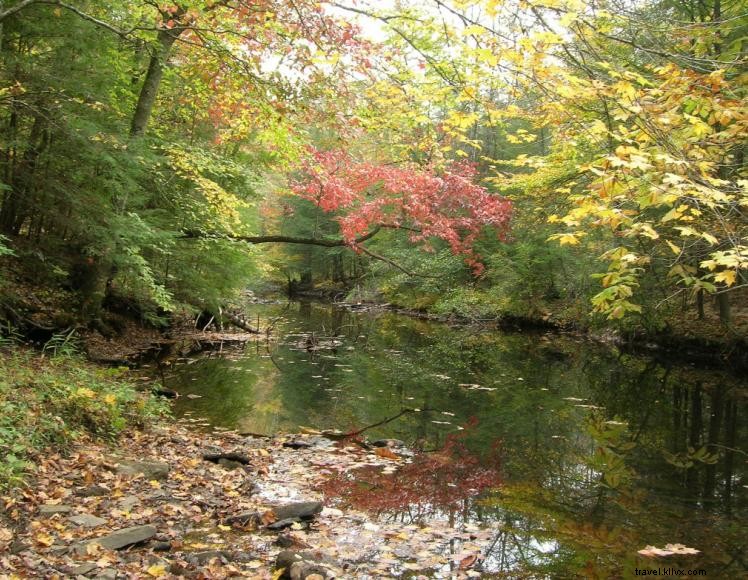 Beaver Creek Campground 