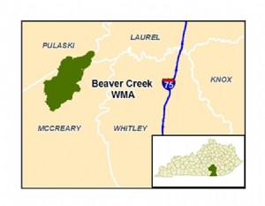 Zone de gestion de la faune de Beaver Creek 