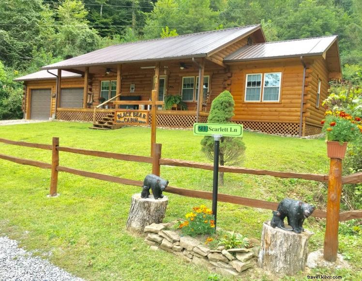 Cabane de l ours noir 