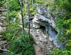 Taman Resor Negara Carter Caves 