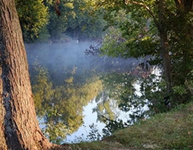 Rumah Nyaman di Elkhorn Creek 