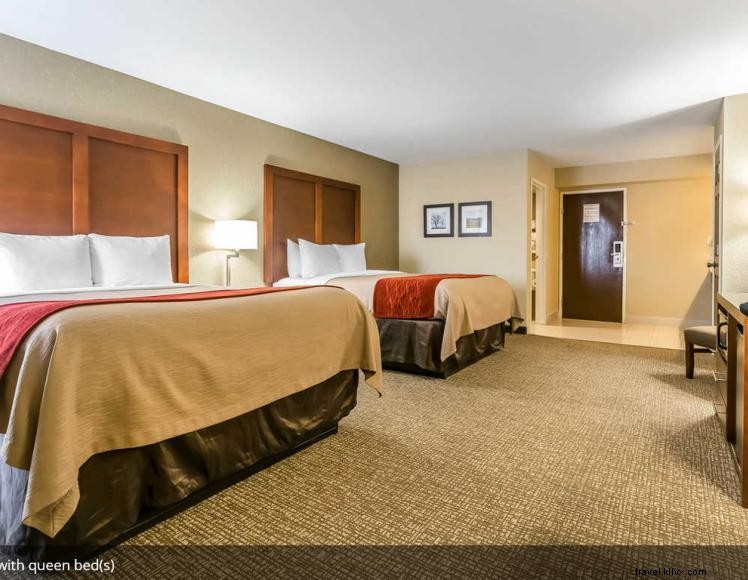 Comfort Inn &Suites (Lexington) 