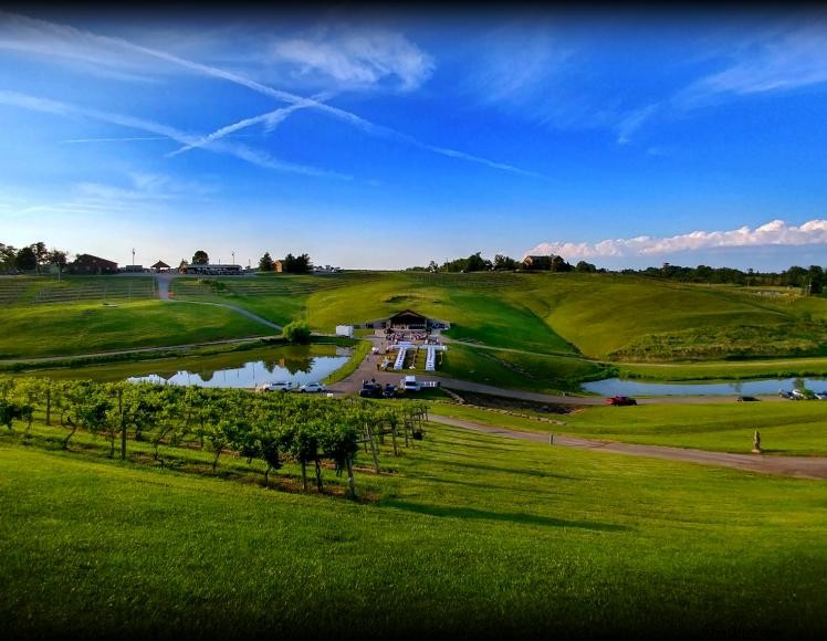 Elk Creek Vineyards 