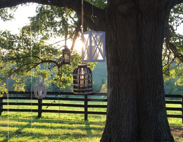 Forest Retreat Bed &Breakfast 