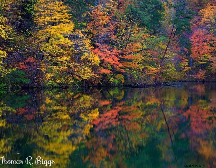 Fish Pond Lake 