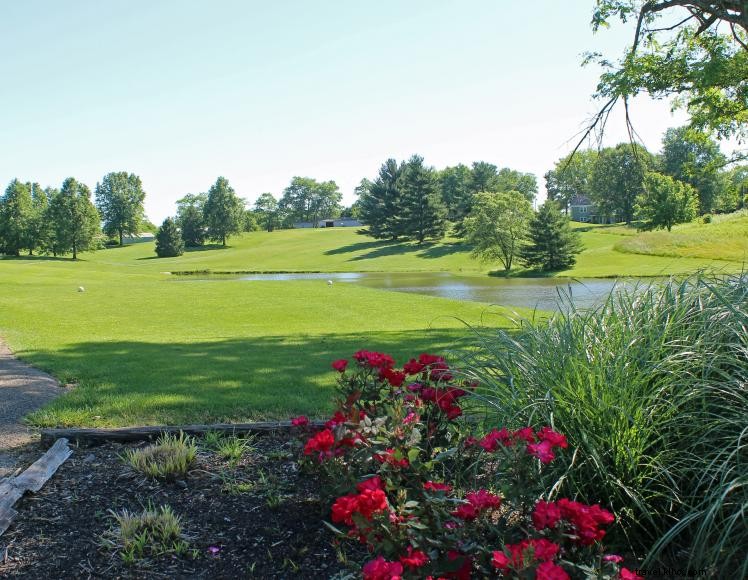 Campo de golf Fairway y cabañas 