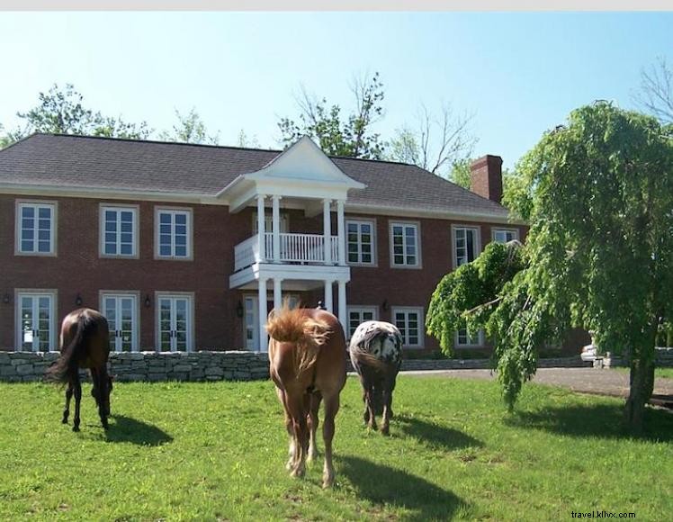 Fairyhouse Hall 