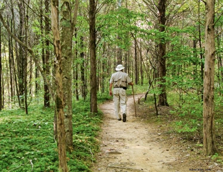 Taman Negara Bagian Danau Sungai Hijau 