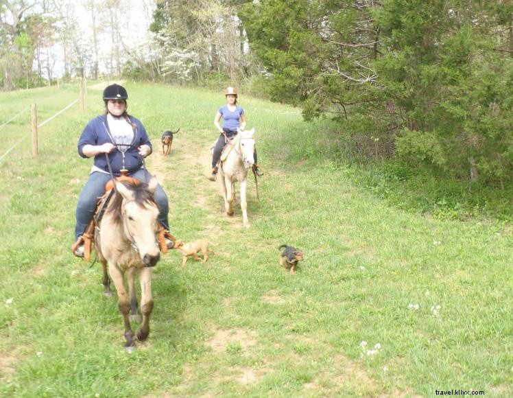 Hidden Cave Ranch Bed and Breakfast et ferme de chevaux bouclés 