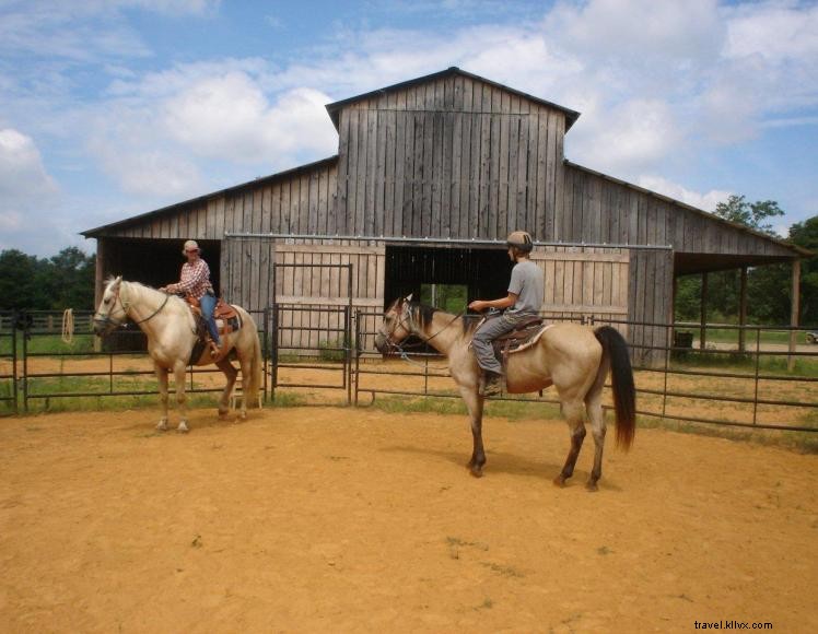 Hidden Cave Ranch Bed and Breakfast et ferme de chevaux bouclés 