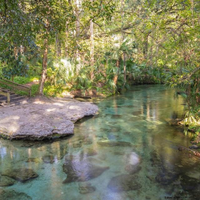 Plongez dans les magnifiques sources naturelles d Orlando 