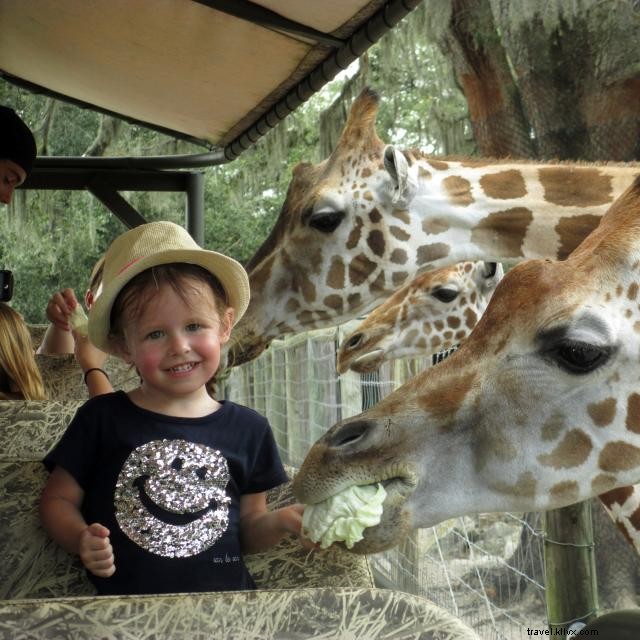 Dê um passeio no lado selvagem em Orlando Zoos and Gardens 