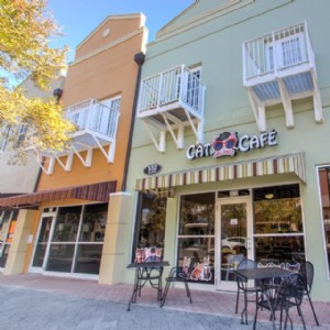 21 caffetterie Buzzworthy a Orlando 