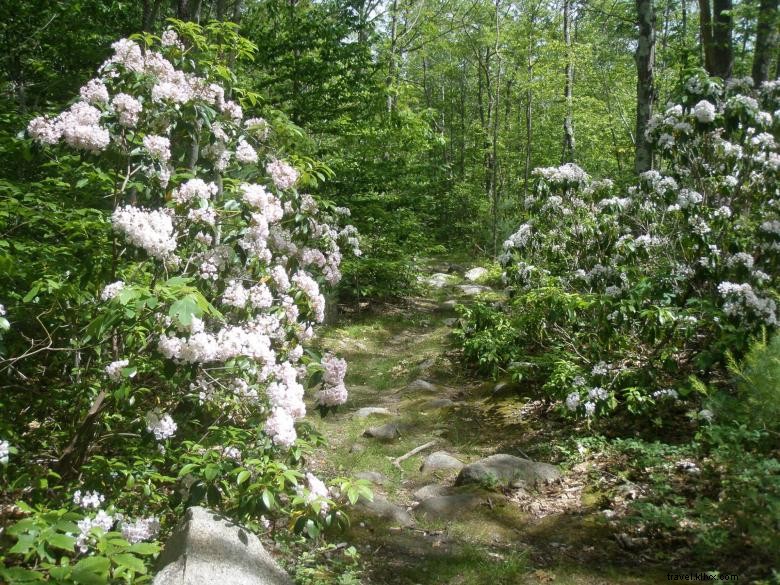 Associazione di viaggio per le montagne della Georgia nordorientale 