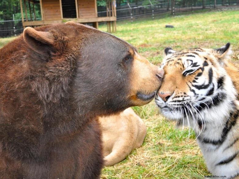 ヘンリー郡ウェルカムセンター 