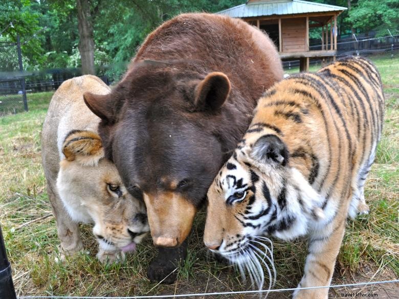 ヘンリー郡ウェルカムセンター 