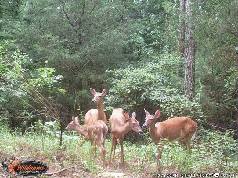 Monticello Crossroads Trailhead &Pusat Pengunjung 