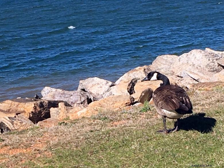 Hartwell Dam e Lake Visitor Center 