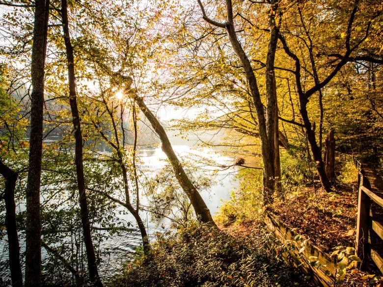 Ilha Ford - Área de Recreação Nacional do Rio Chattahoochee 