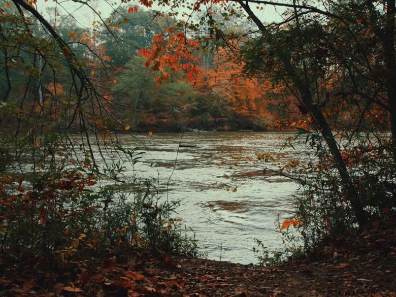 Ilha Ford - Área de Recreação Nacional do Rio Chattahoochee 