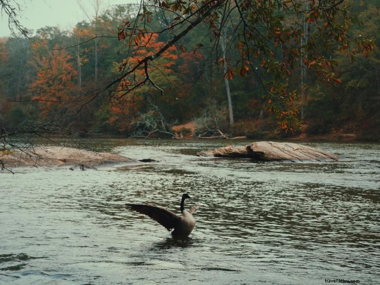 Island Ford - Area Rekreasi Nasional Sungai Chattahoochee 