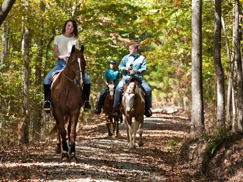 Voyages et tourisme dans le comté de Douglas 