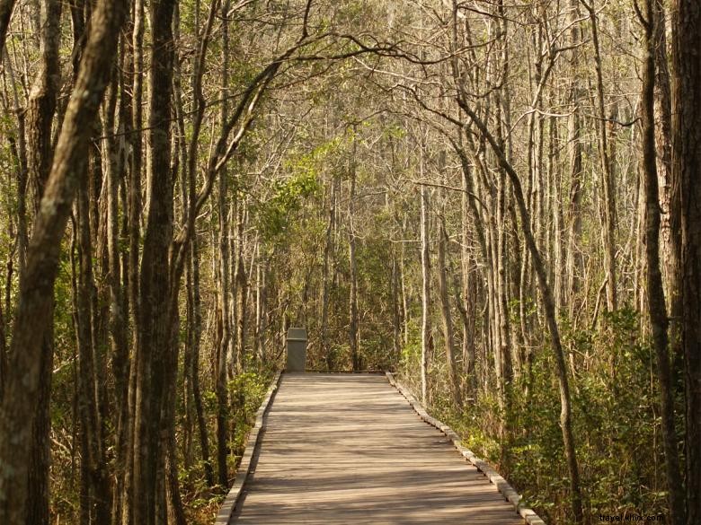 Centro de visitantes y oficina de turismo de Waycross 