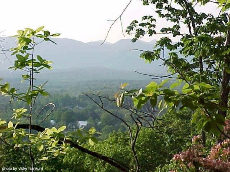 Persembunyian Pedesaan di Danau Gunung 